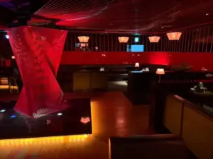 新宿歌舞伎町 美人茶屋 新宿 (ビジンチャヤ シンジュク)